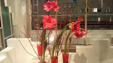 2011.10.27の花.jpg
