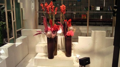 2011.11.24花.jpg