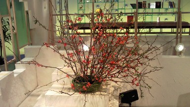 2012.04.12週の花.jpg