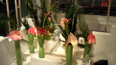 2012.04.26週の花.jpg