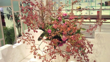 2012.08.30週の花.jpg