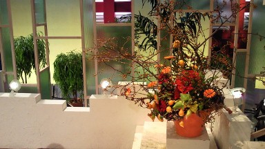 2012.11.22週の花.jpg