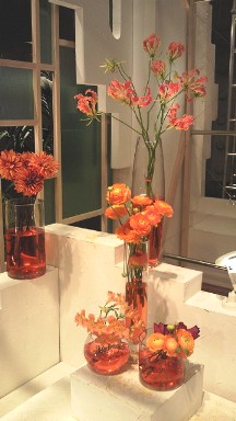 2013.01.18週の花.jpg