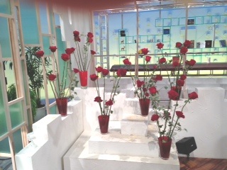 2013.02.14週の花.jpg