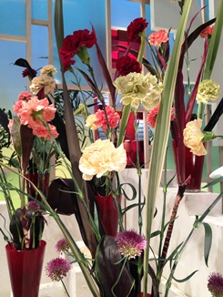 2013.05.09週の花アップ.jpg