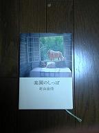 猫のしっぽ.JPG
