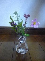 秋の花.JPG