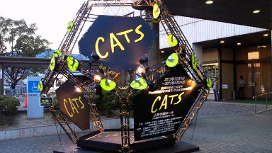 CATS.jpg