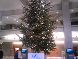 明治大学クリスマスツリー2009.JPG