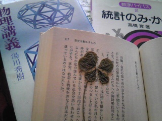 五つ葉のクローバー.jpg