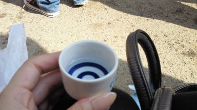 西条酒祭り.jpg