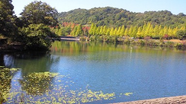 鏡山公園1.jpg