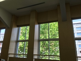 IMG_0990.JPG