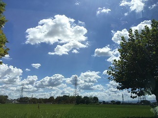 IMG_1760.JPG