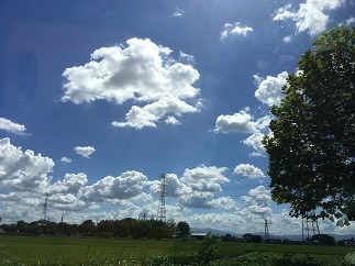 IMG_1761.JPG