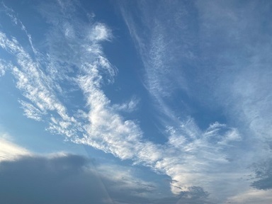 IMG_2094.jpg