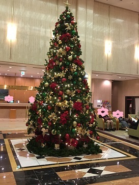 IMG_3550.JPG