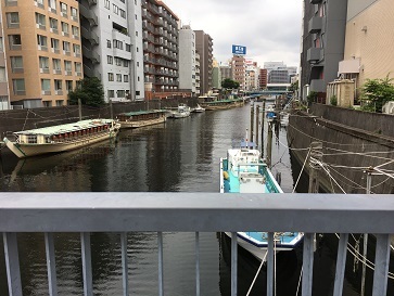 IMG_4317.JPG