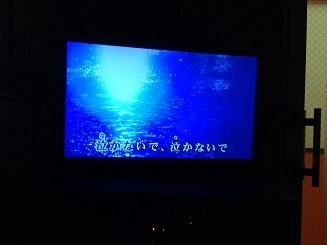 IMG_5426.JPG