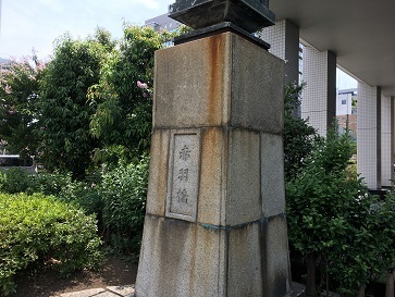 IMG_7454.JPG