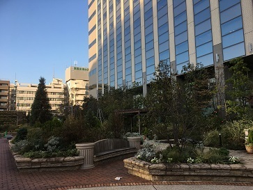 IMG_8289.JPG